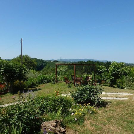Agriturismo Poggio Al Tesoro Crespina Exteriör bild