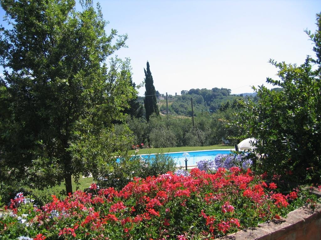 Agriturismo Poggio Al Tesoro Crespina Rum bild